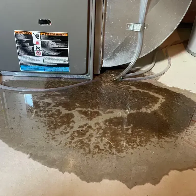 Appliance Leak Cleanup in Maroa, IL